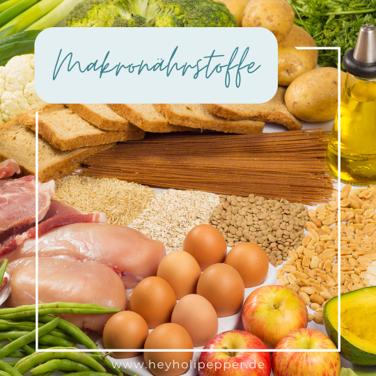 makronährstoffe, makronährstoffe liste, makronährstoffe aufgaben, makronährstoff unterschied